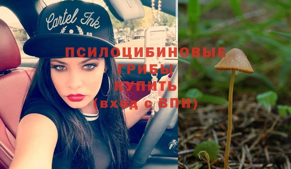 прущие крисы Аркадак