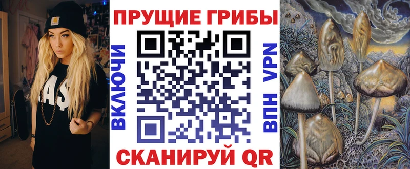 Псилоцибиновые грибы мицелий  Купить  Полярный 